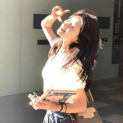 夏绿蒂的网