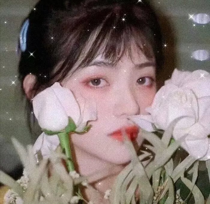 忧郁的物怪庵第一季
